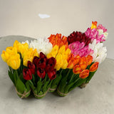 Buchet decorativ 9 Lalele artificiale,27 cm