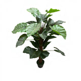 Colocasie artificiala in ghiveci, 150 cm