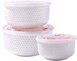 Set  caserole Ceramice cu Capace de Plastic, Model Floral