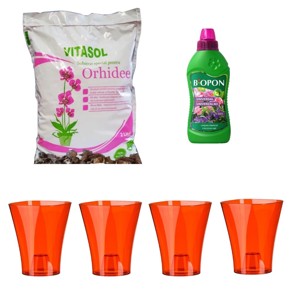 Set 4 ghivece Orhidee cu Substrat Vitasol pentru Plantare si Ingrasamant Lichid