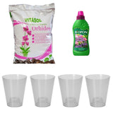 Set 4 ghivece Orhidee cu Substrat Vitasol pentru Plantare si Ingrasamant Lichid