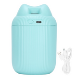 Mini umidificator portabil, USB, pentru camera si masina , 220 ml